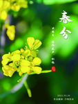 春分