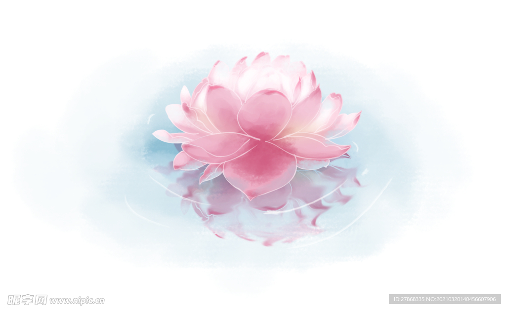 莲花 粉色 花朵 手绘 水彩