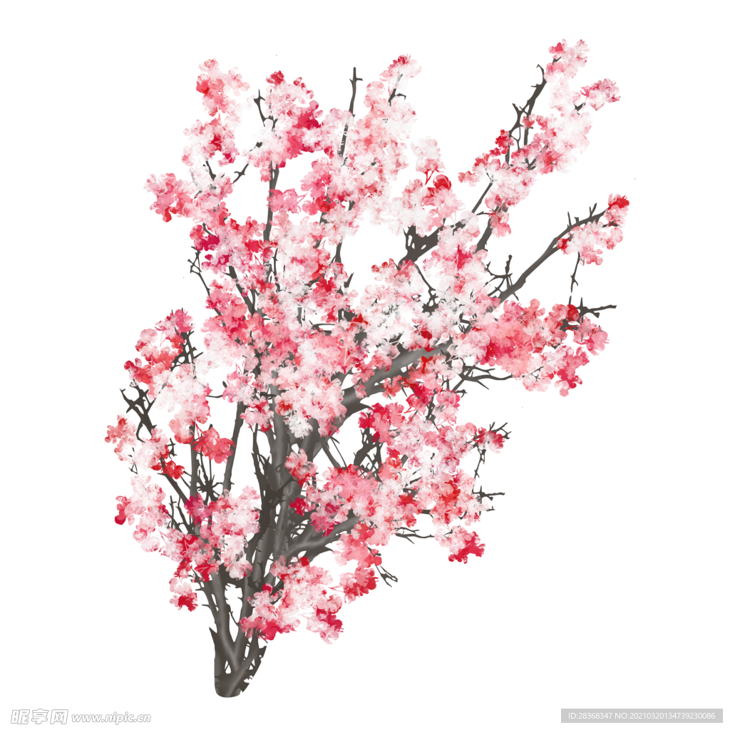 樱花素材