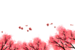 樱花素材