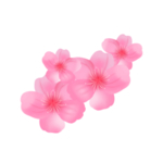 樱花素材