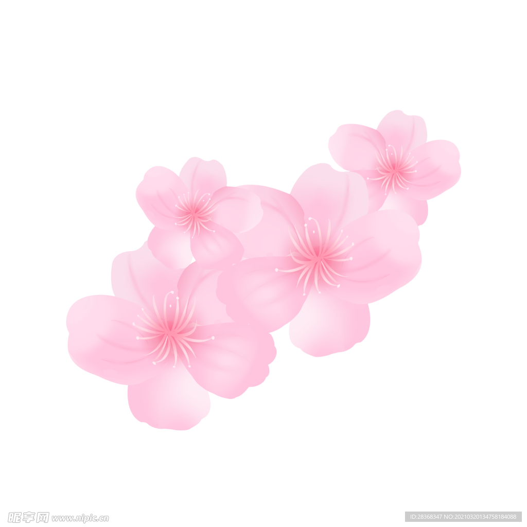 樱花素材