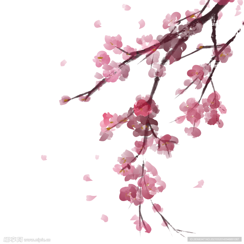 樱花素材