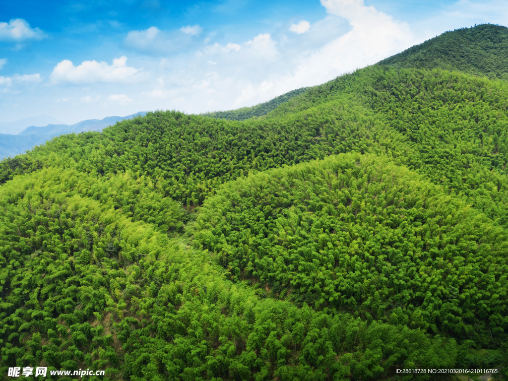 杨岐24景 铁笼关虎