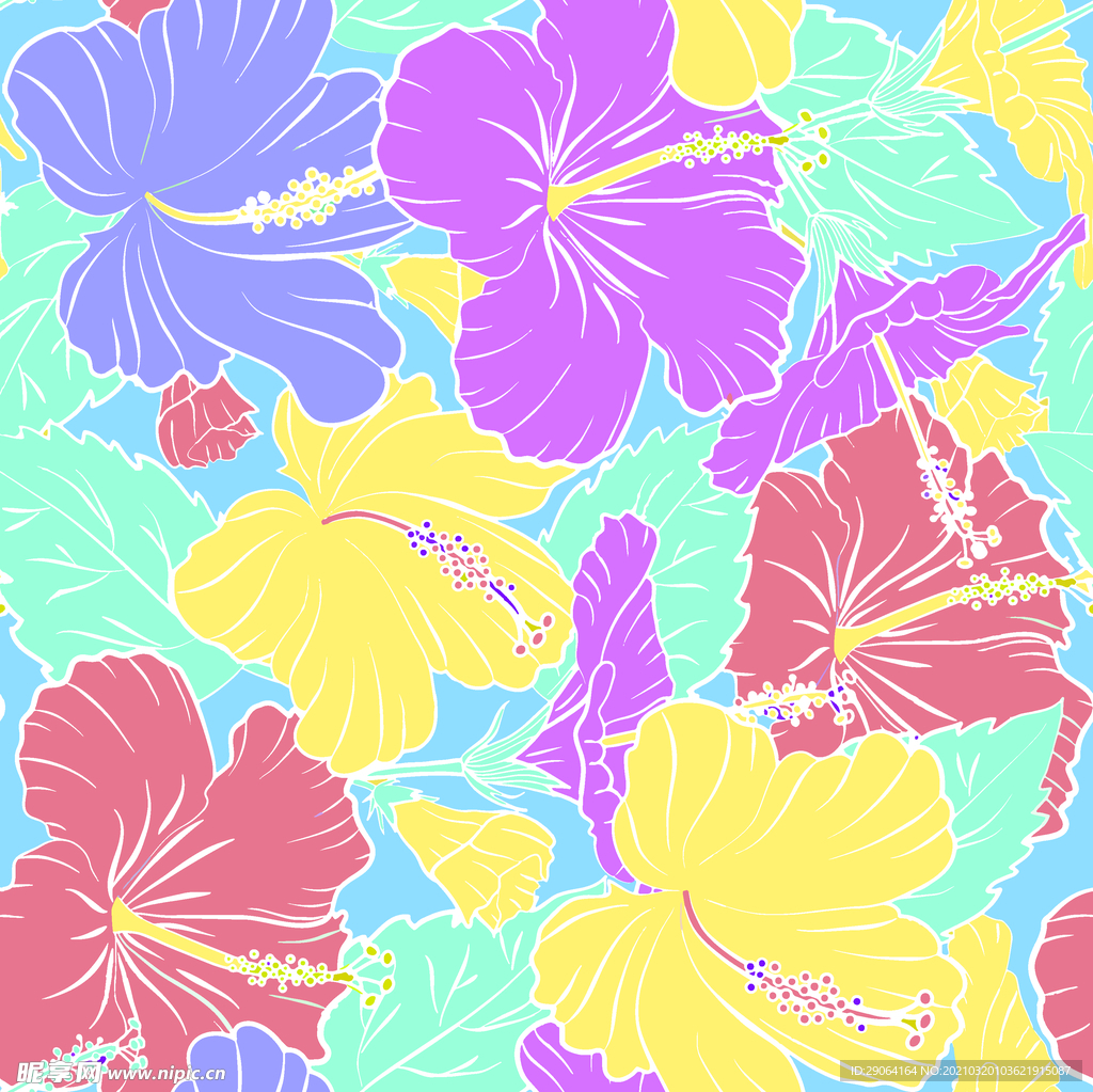 热带花