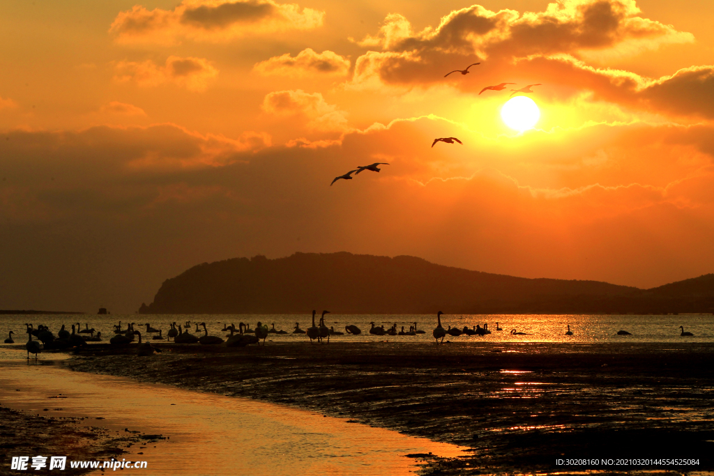 夕阳