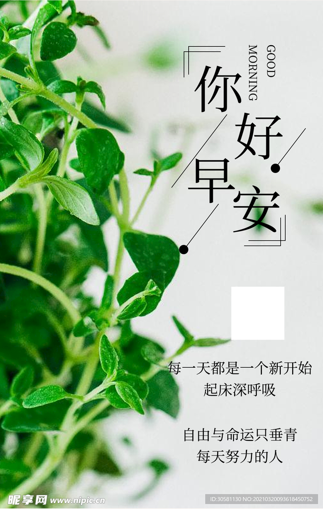 你好早安植物叶子海报