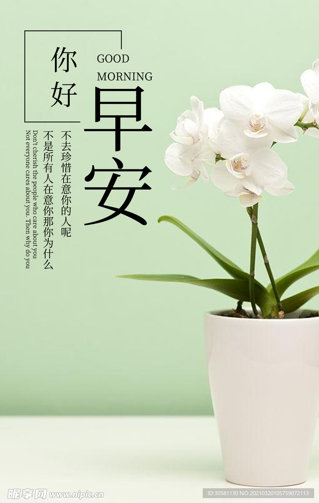 绿色植物花盆栽早安海报