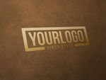 LOGO展示效果图