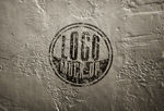 LOGO展示效果图