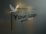 LOGO展示效果图