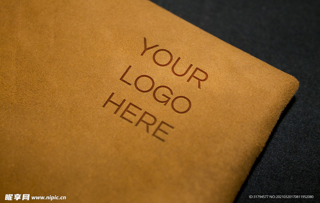 LOGO展示效果图