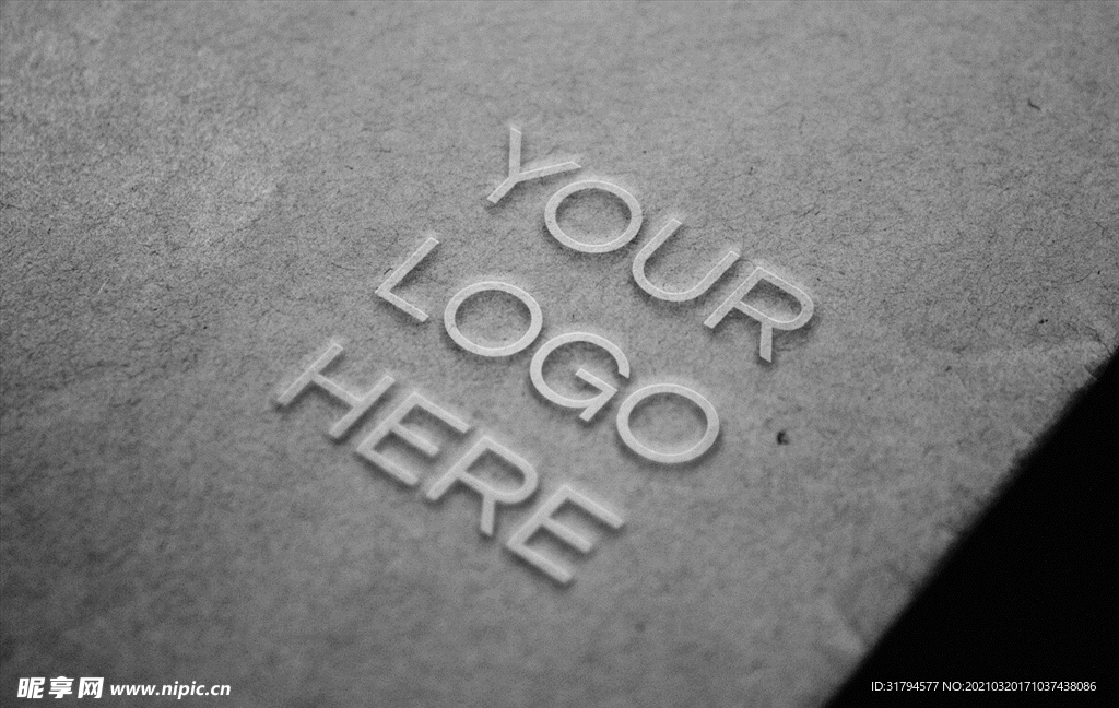 LOGO展示效果图