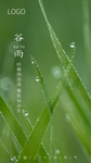 谷雨