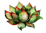 莲花装饰画