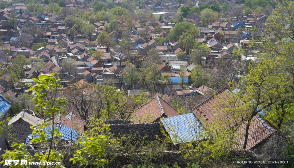 小山村