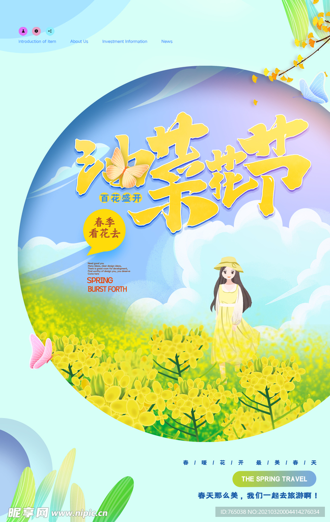 油菜花