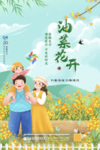 油菜花