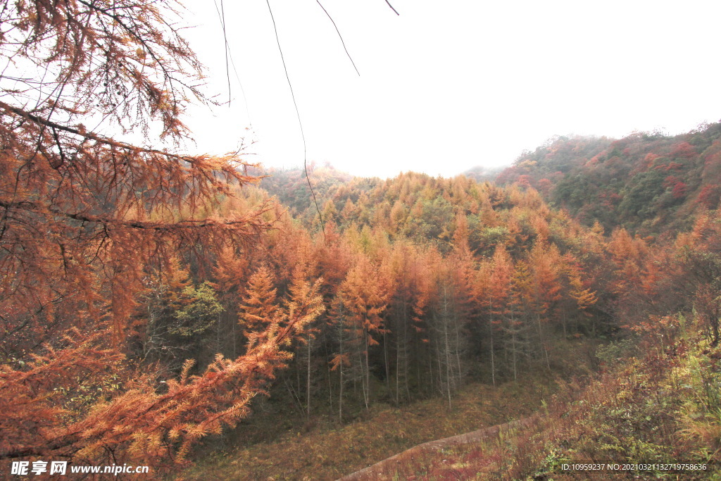 光雾山