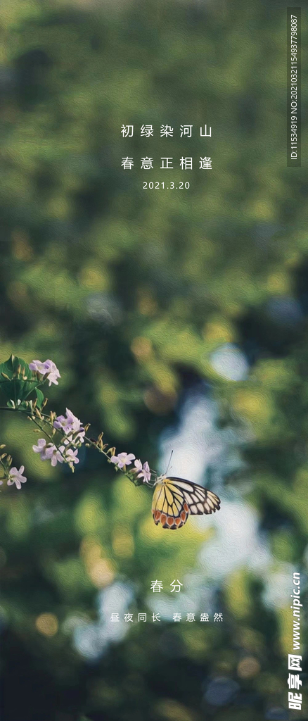 春分节气海报