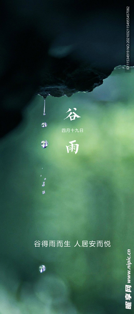 谷雨节气海报