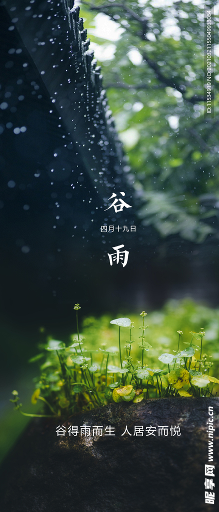 谷雨节气海报