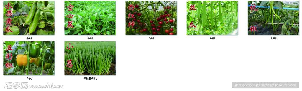 大棚菜牌