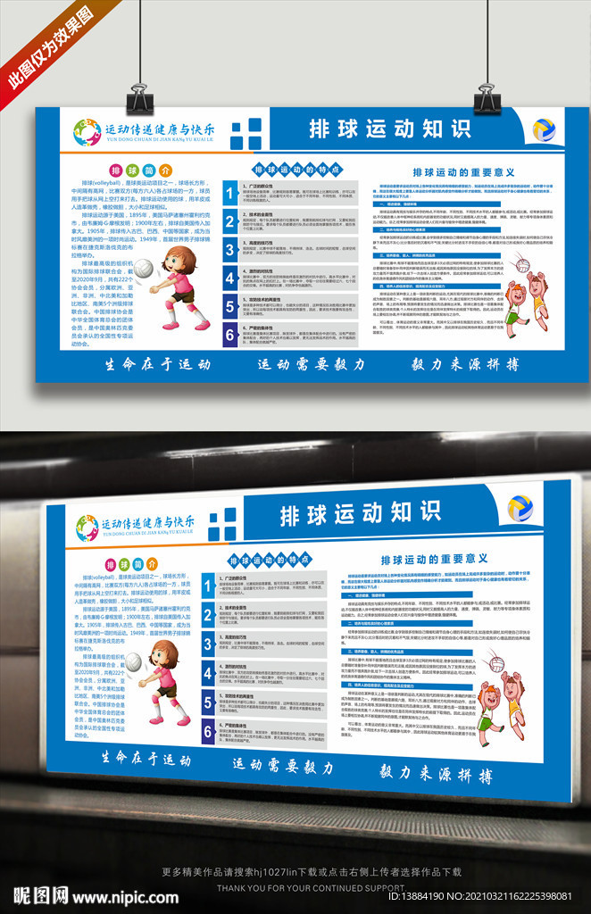 排球运动知识宣传展板