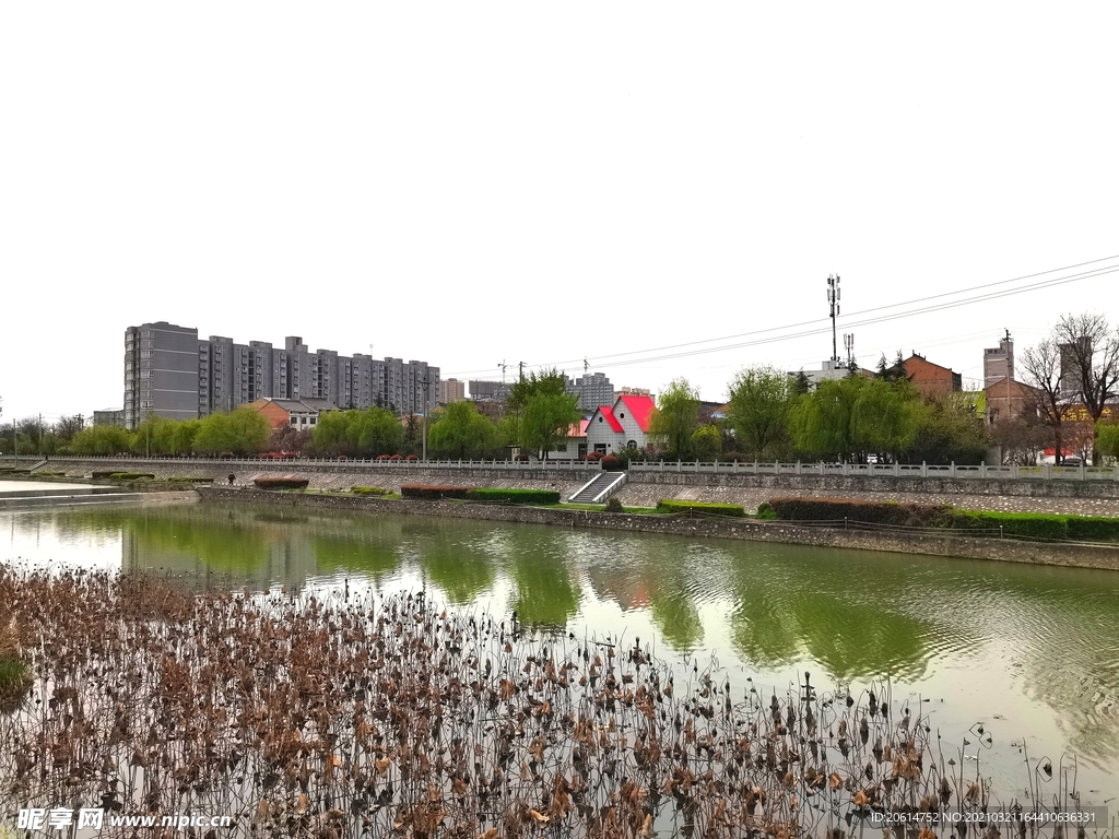 美丽的河道风景