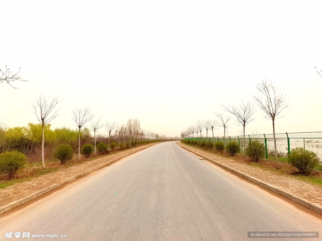 美丽的乡村道路风景