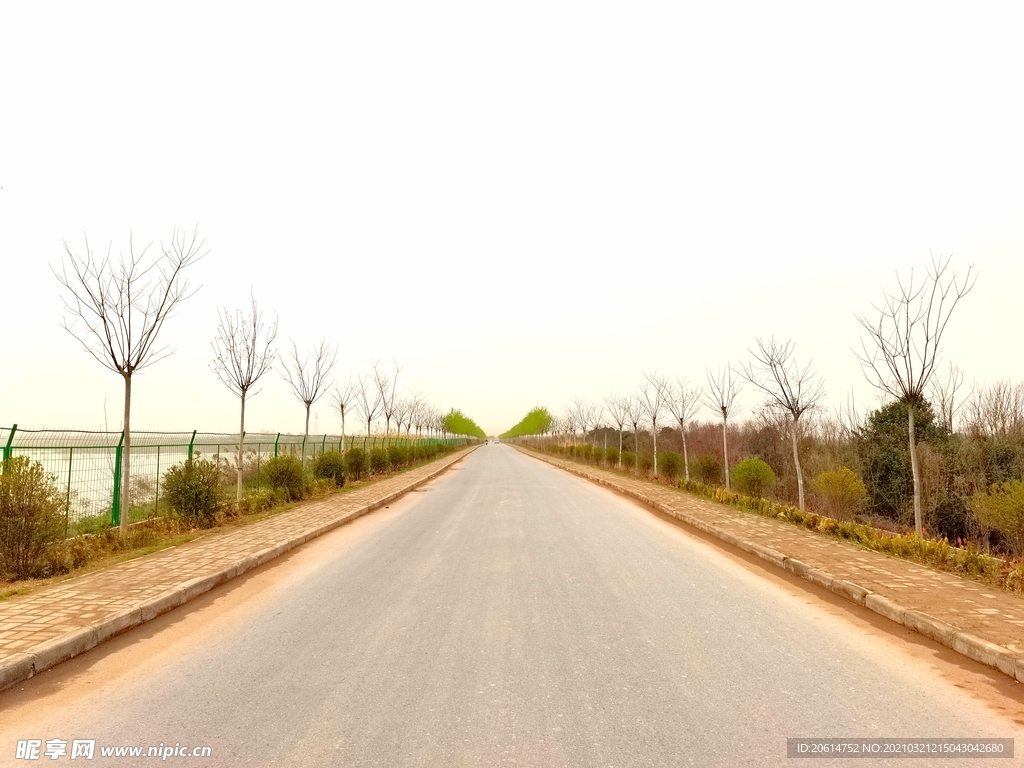 美丽的乡村道路风景