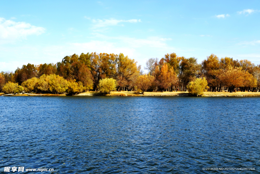 秋天的额尔齐斯河