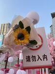 向日葵