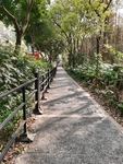 山间小路