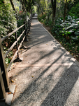 山间小路
