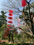 公园