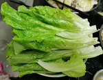生菜