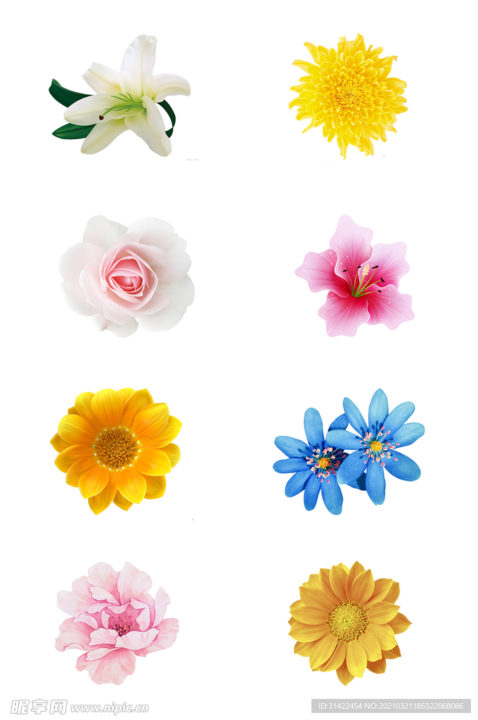 大牌花