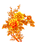 牡丹花 花素材 花朵 大花 叶