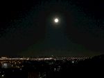 月下的静夜