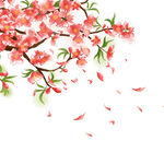 彩色装饰花朵元素