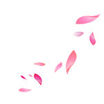 玫瑰花瓣元素