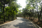 山路