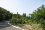 山路