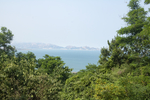 碧海绿树