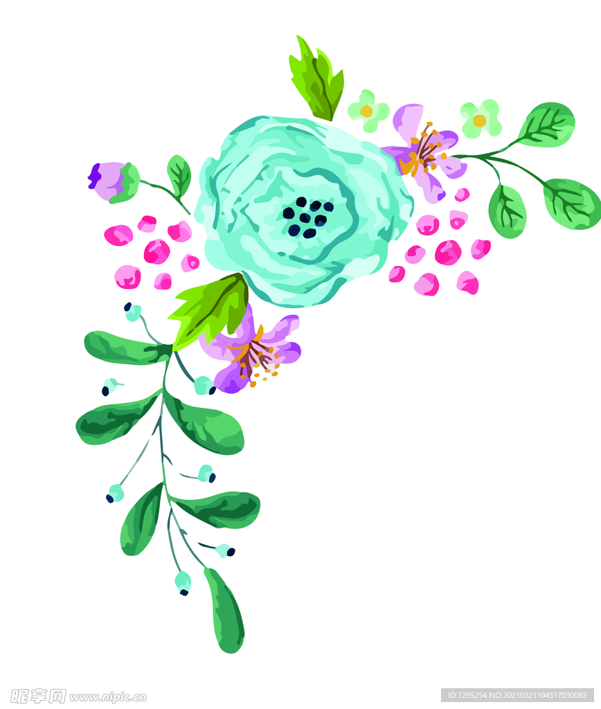 水彩花卉图片