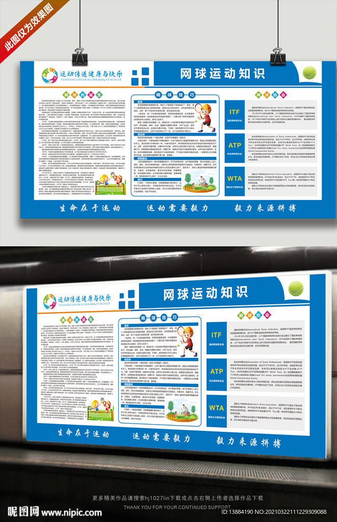 网球运动知识展板