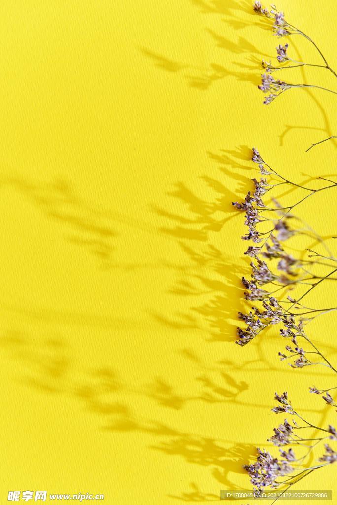 花卉