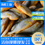 阳江海鲜