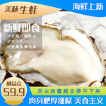 新鲜生蚝